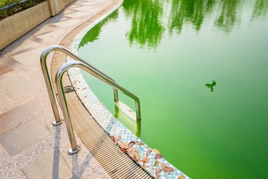 Ma piscine tourne au vert 