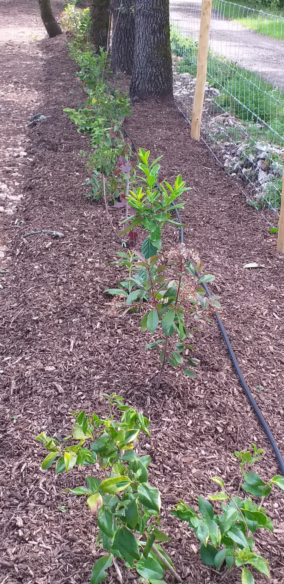 Rénovation de jardin